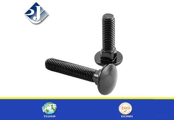 Carriage Bolts