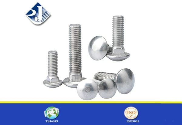 Carriage Bolts